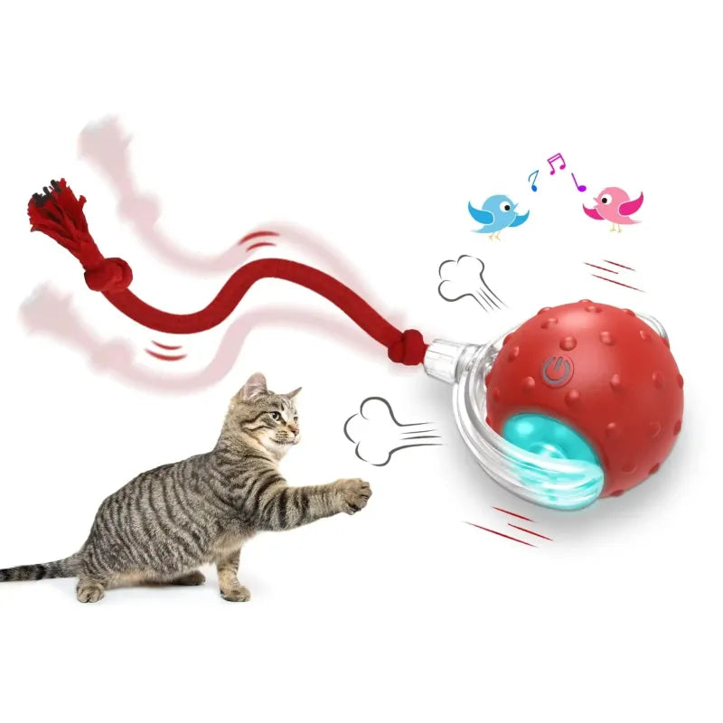 Smart Cat Ball – The Light-Up Toy Your Cat Will Chase All Day